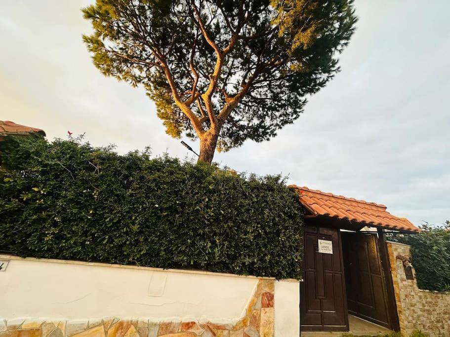 Fontana House Villa Marina di Cerveteri Exterior photo